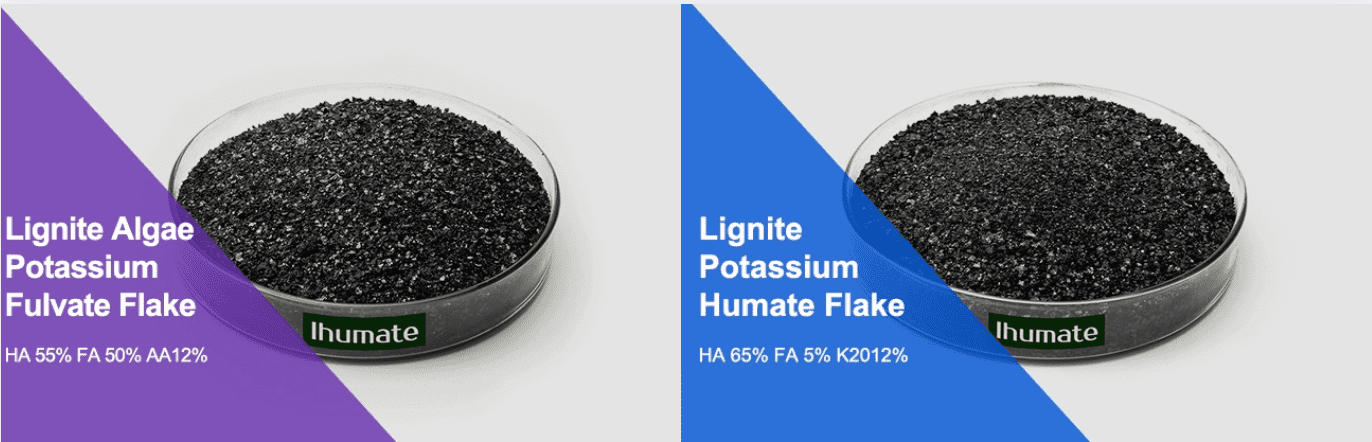 Humic Acid vs. Fulvic Acid